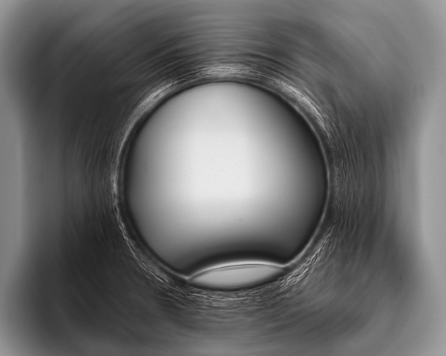 X0000096181330200802081452