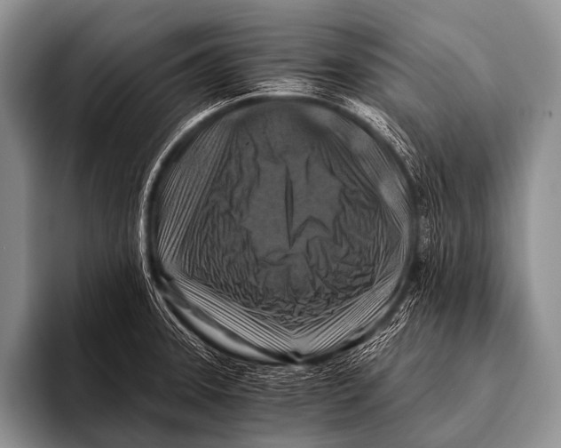 X0000096181331200802081452