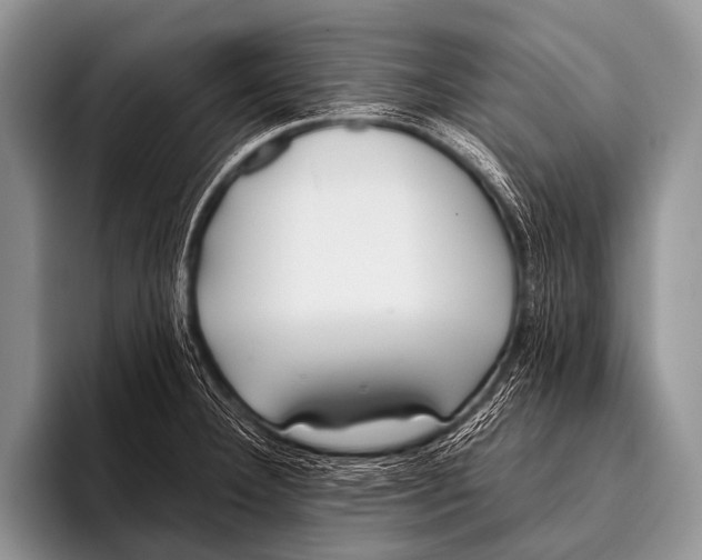X0000096181332200802081452