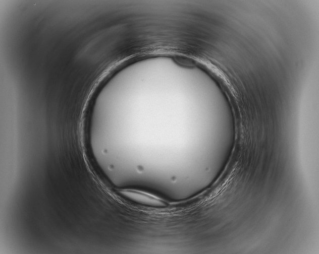 X0000096181333200802081452
