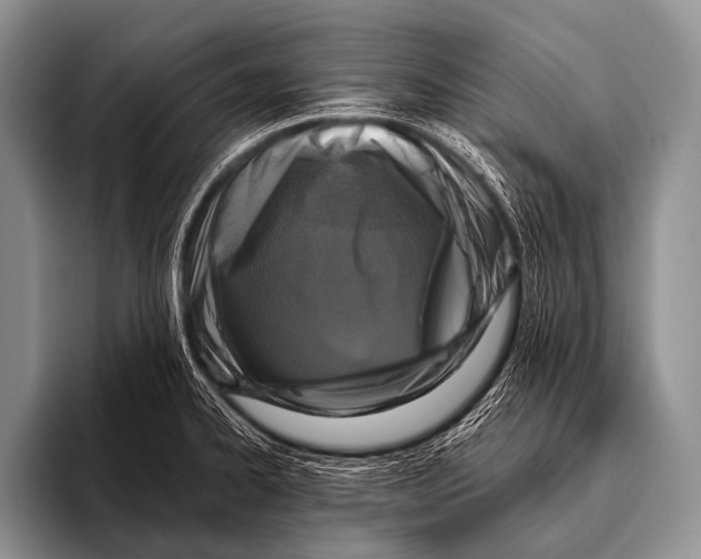 X0000096181334200802081452