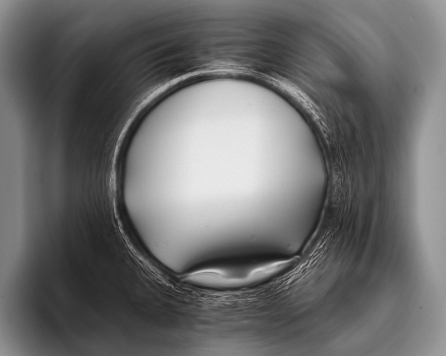 X0000096181335200802081452