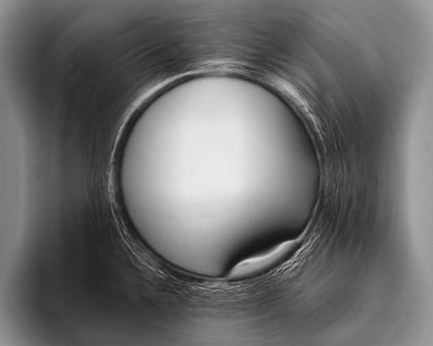 X0000096181336200802081452