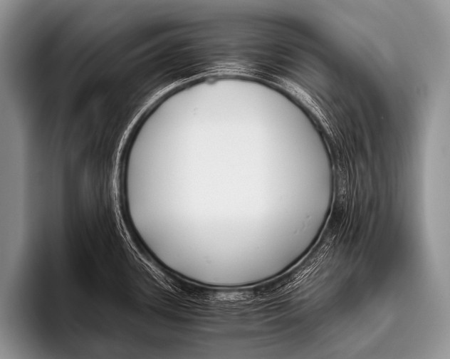 X0000096181339200802081452