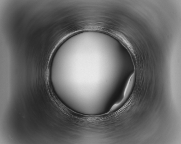 X0000096181340200802081452