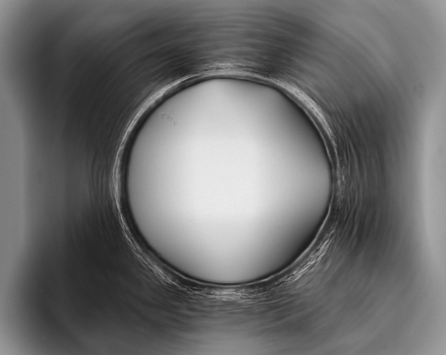 X0000096181341200802081452