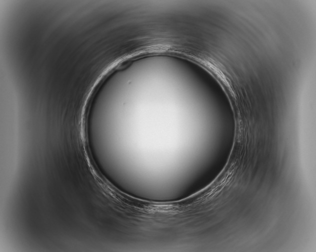 X0000096181342200802081452