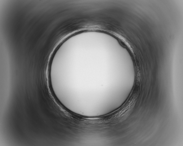 X0000096181343200802081452