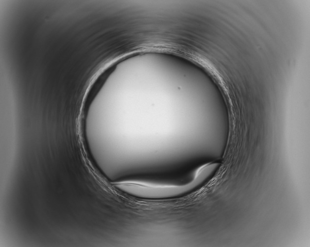 X0000096181344200802081452