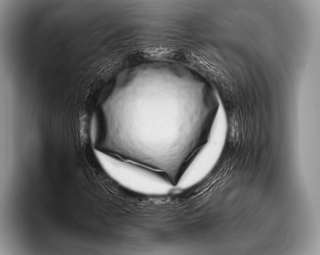 X0000096181346200802081451
