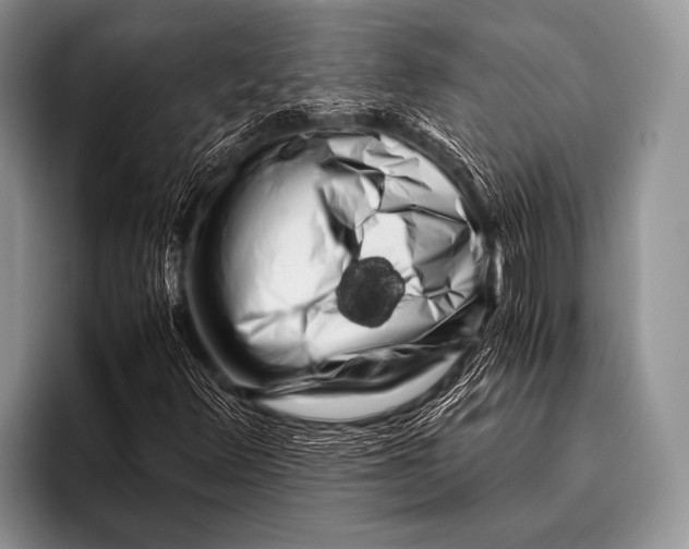 X0000096181348200802081451
