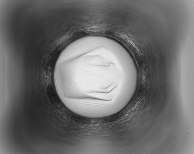 X0000096181350200802081451