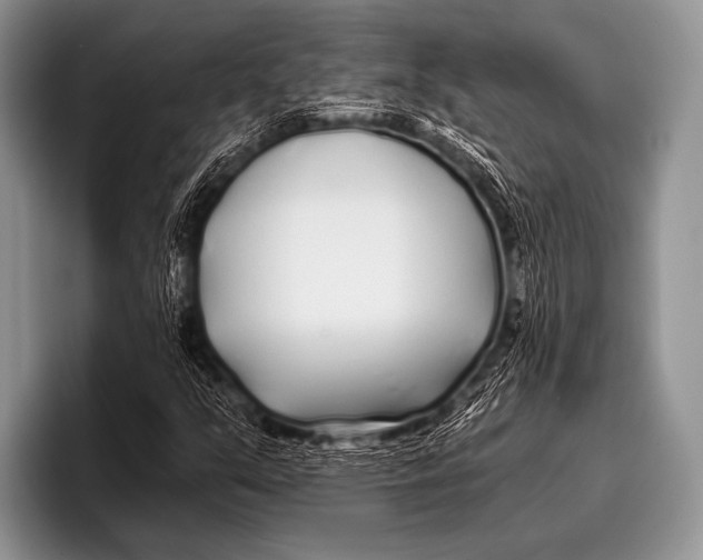 X0000096181351200802081451