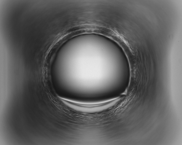 X0000096181352200802081451