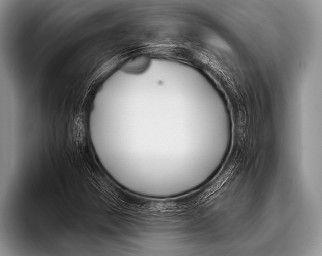 X0000096181354200802081451