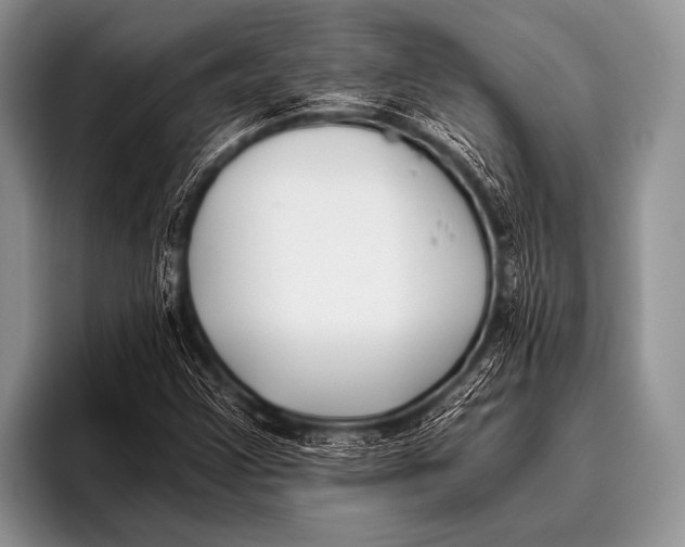 X0000096181355200802081451