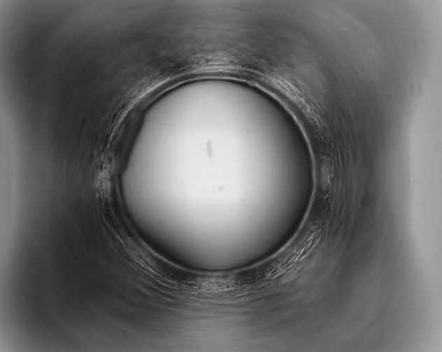 X0000096181356200802081451