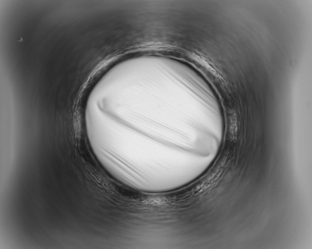 X0000096181358200802081451
