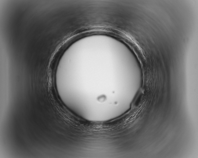 X0000096181360200802081451
