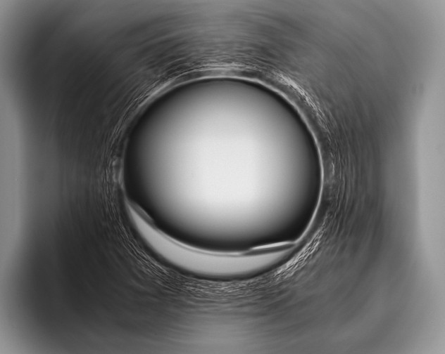 X0000096181361200802081451