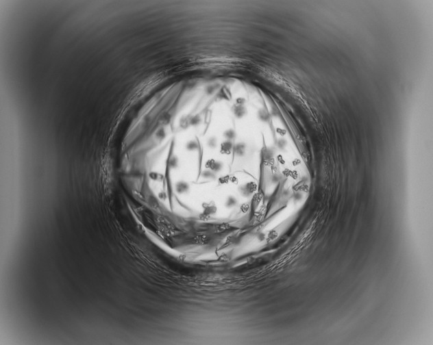 X0000096181362200802081451
