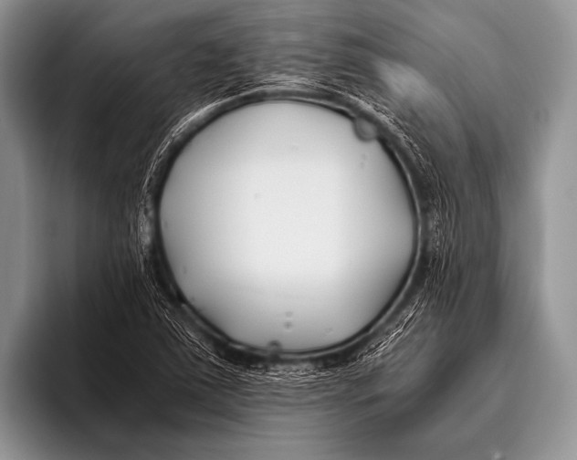 X0000096181363200802081451