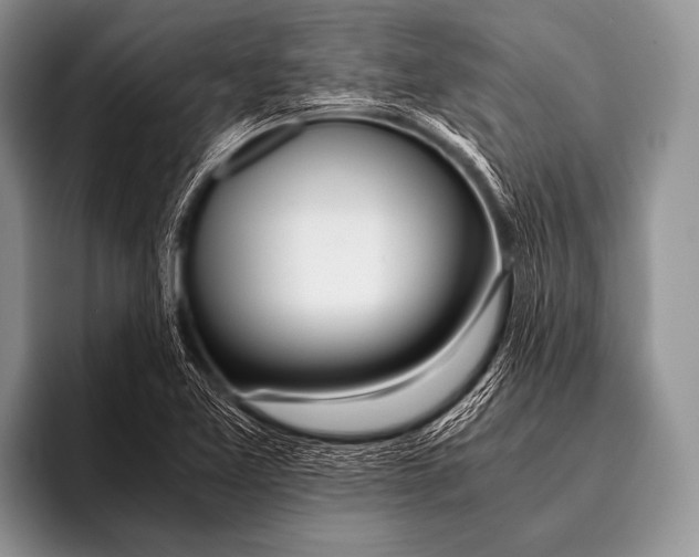 X0000096181365200802081451