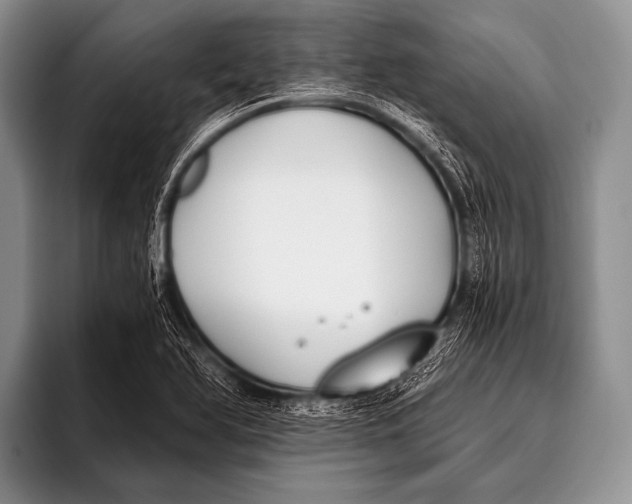 X0000096181366200802081451