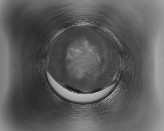 X0000096181369200802081451