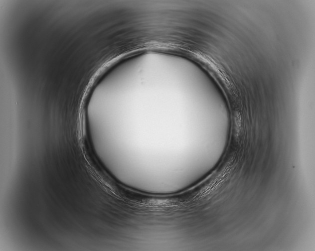 X0000096181371200802081451