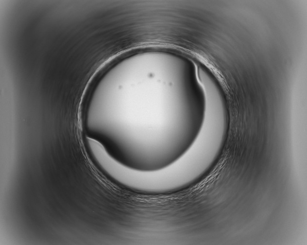 X0000096181372200802081451