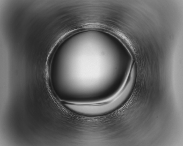 X0000096181376200802081451