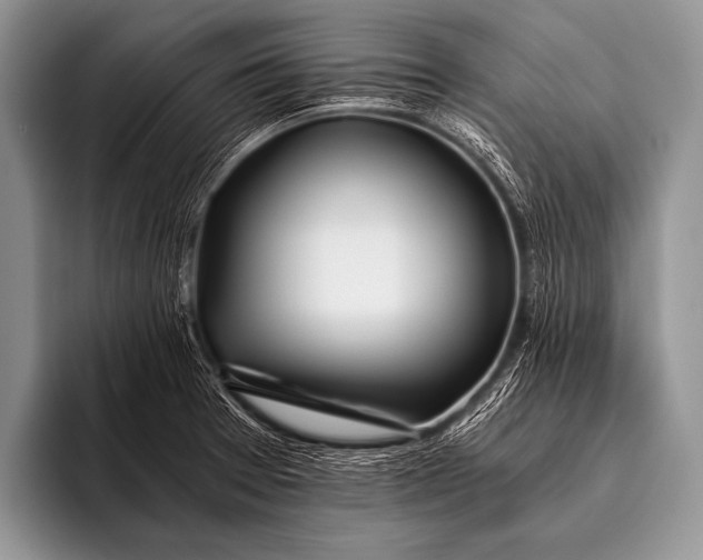 X0000096181377200802081451