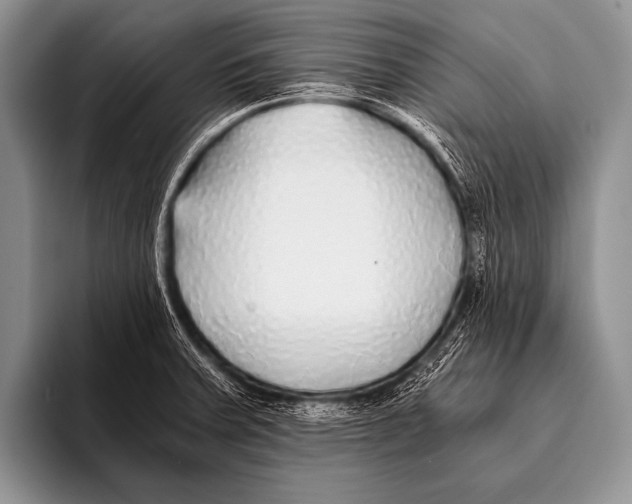 X0000096181379200802081451