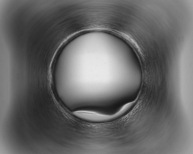 X0000096181380200802081451