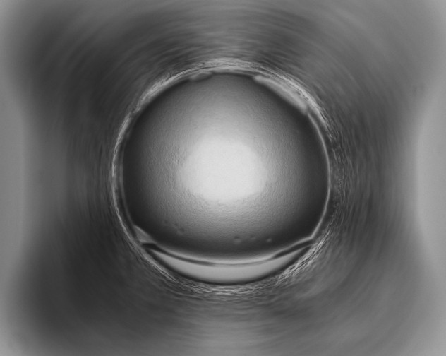 X0000096181381200802081451