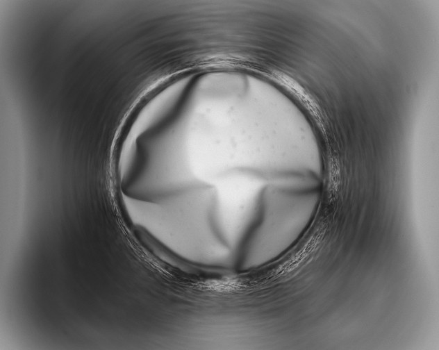 X0000096181384200802081451