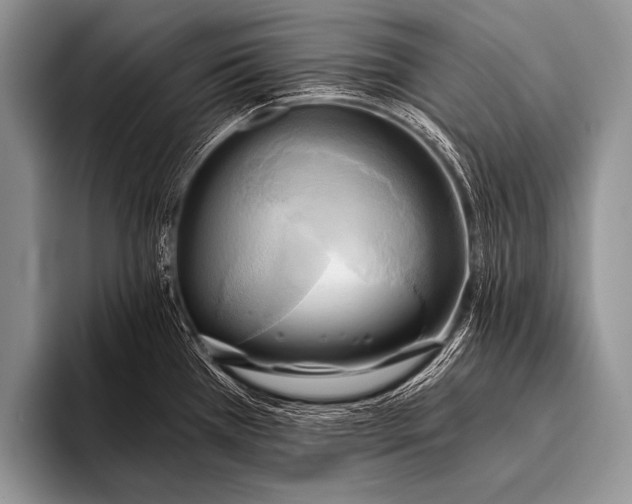 X0000096181385200802081451