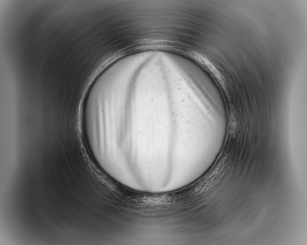 X0000096181386200802081451