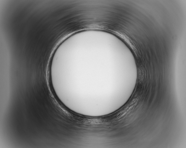 X0000096181387200802081451