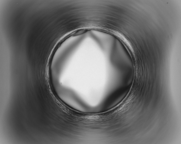 X0000096181388200802081451