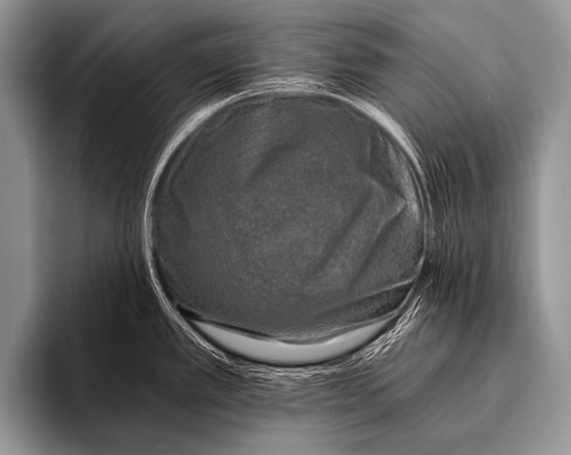 X0000096181389200802081451
