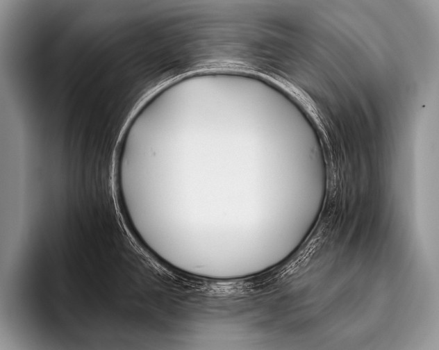 X0000096181390200802081451