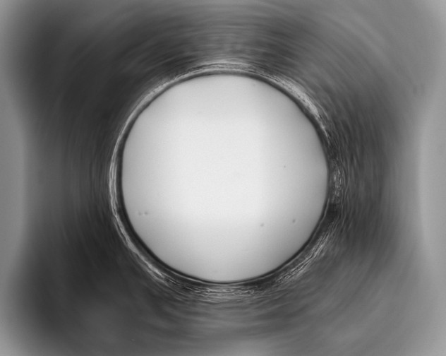 X0000096181391200802081451