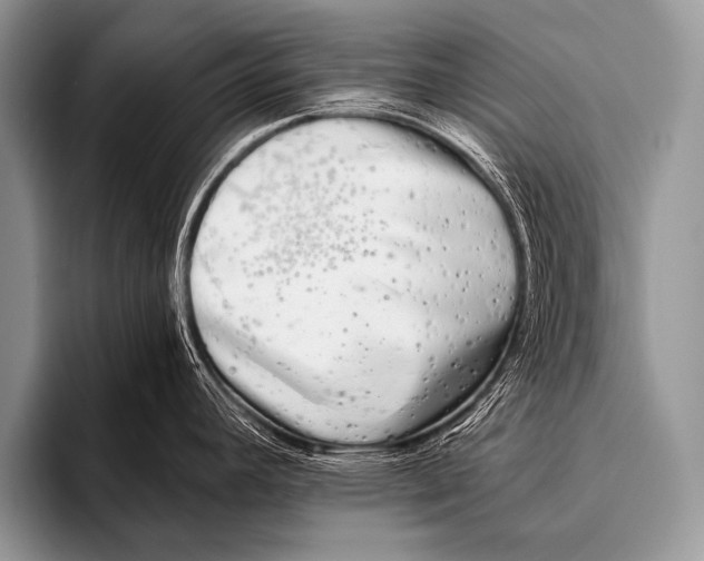 X0000096181392200802081450