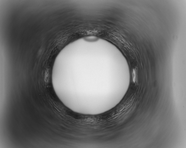X0000096181395200802081450
