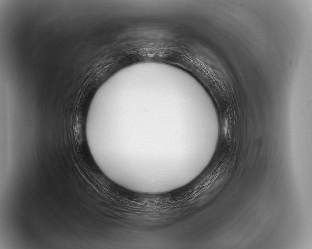 X0000096181396200802081450