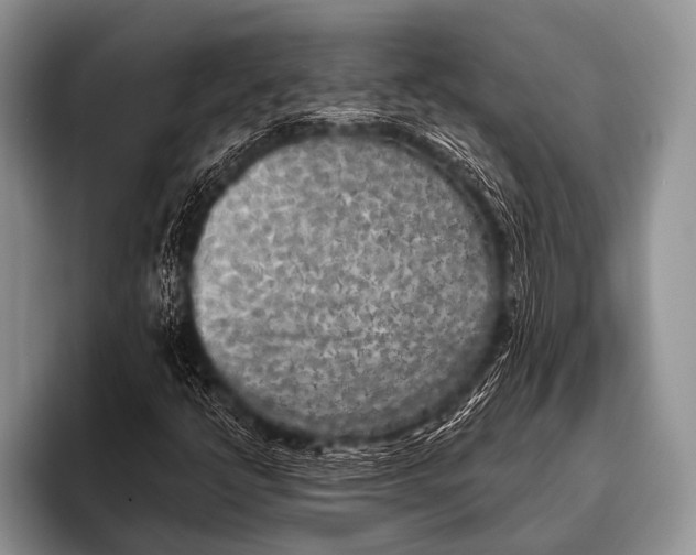 X0000096181398200802081450
