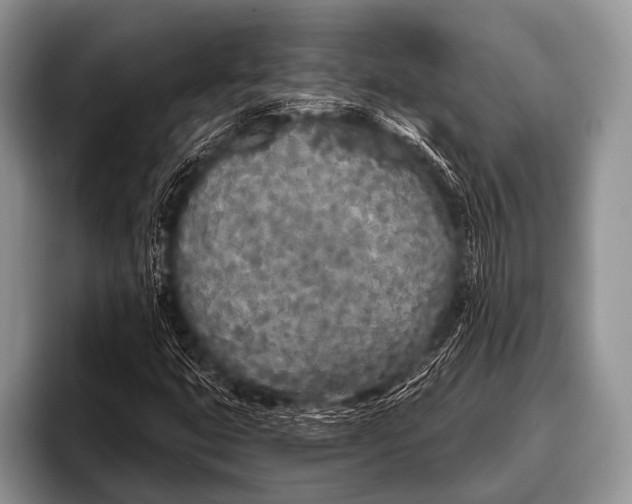 X0000096181399200802081450