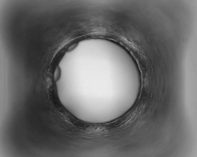 X0000096181400200802081450